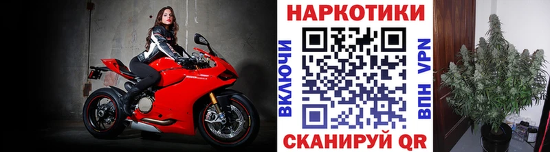 Купить наркотики цена Дальнегорск Канабис  МЕФ  СОЛЬ  ГАШ 
